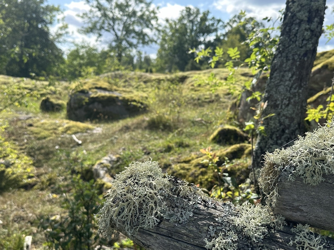 Stensjö by Småland Sverige