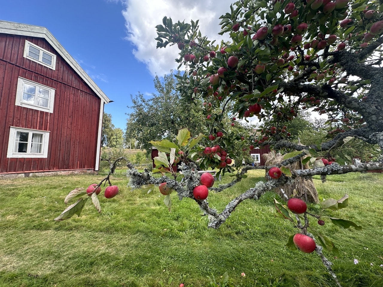 Stensjö by Småland Sverige