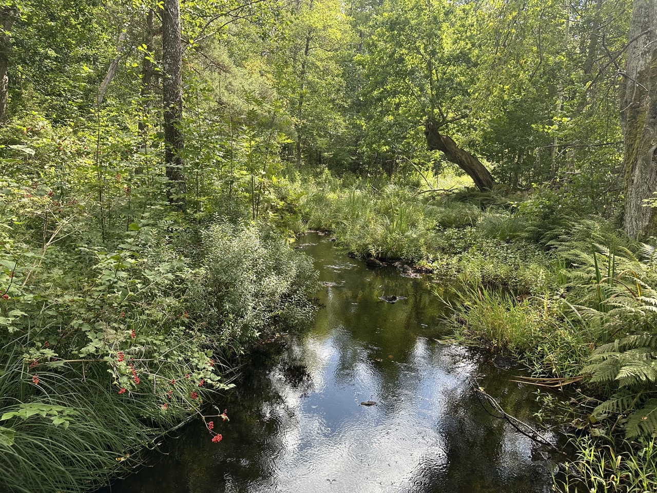 Stensjö by Småland Sverige