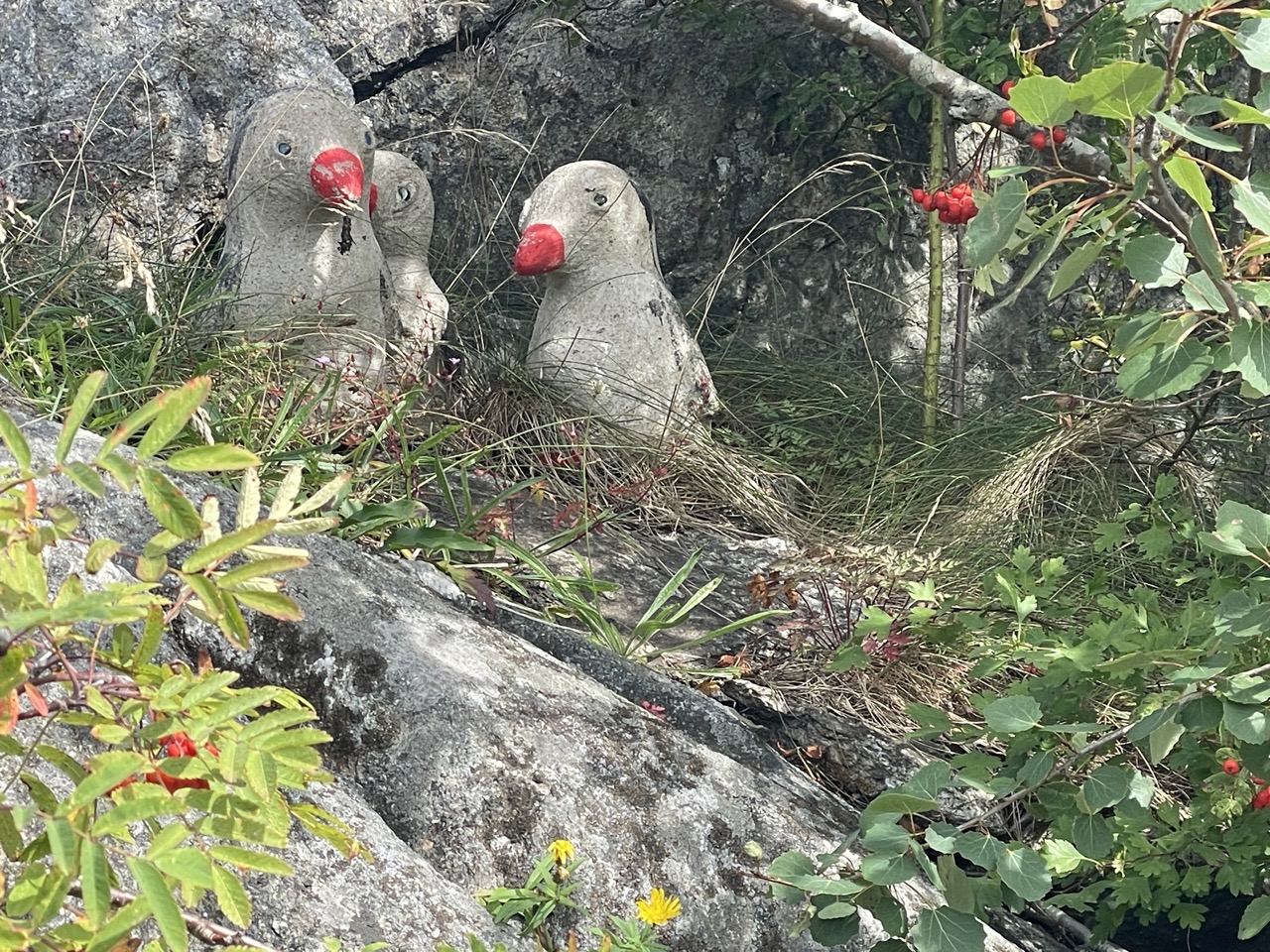 Hälsö Norra skärgården Göteborg Sverige