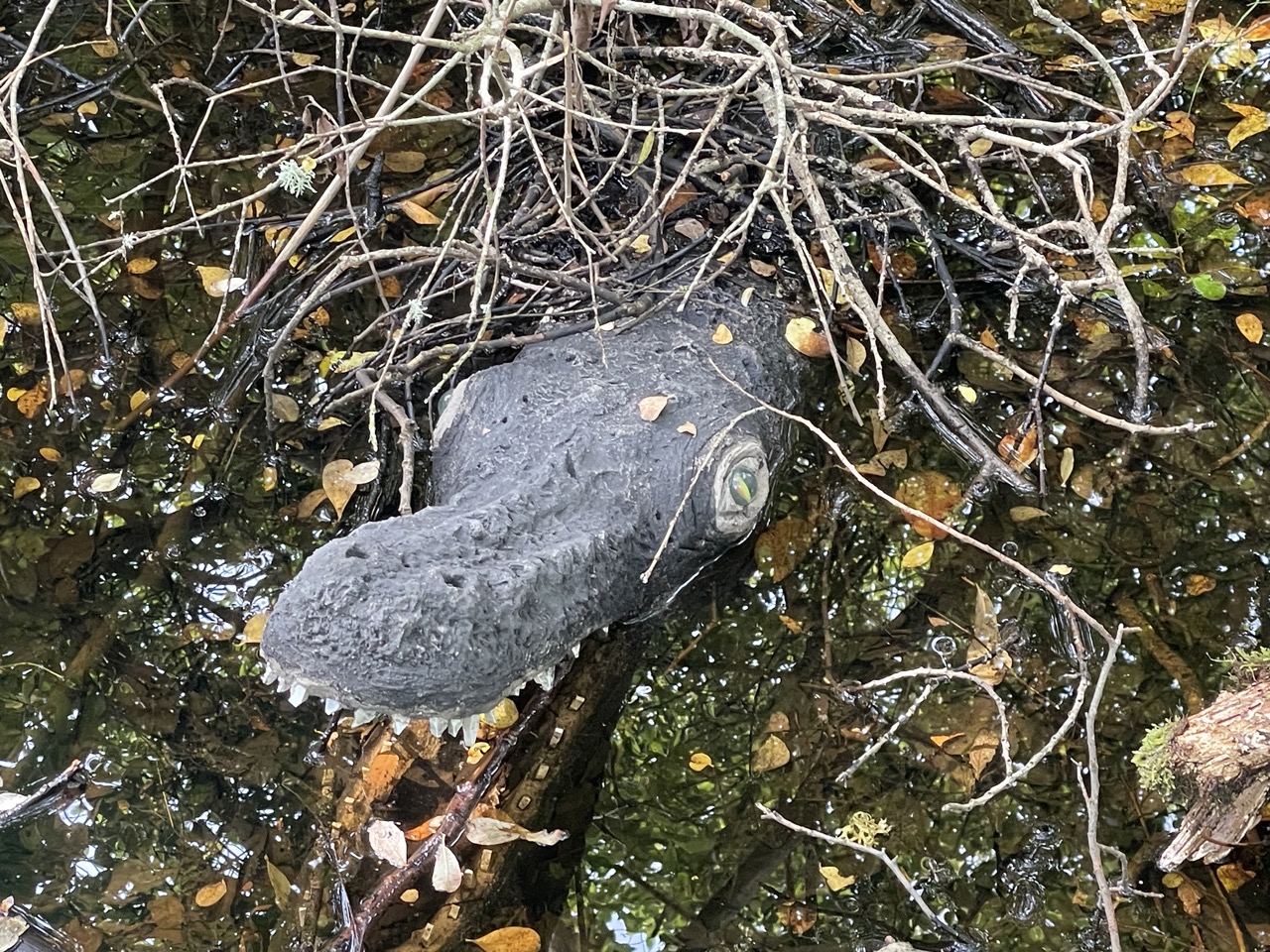 Hälsö Norra skärgården Göteborg Sverige