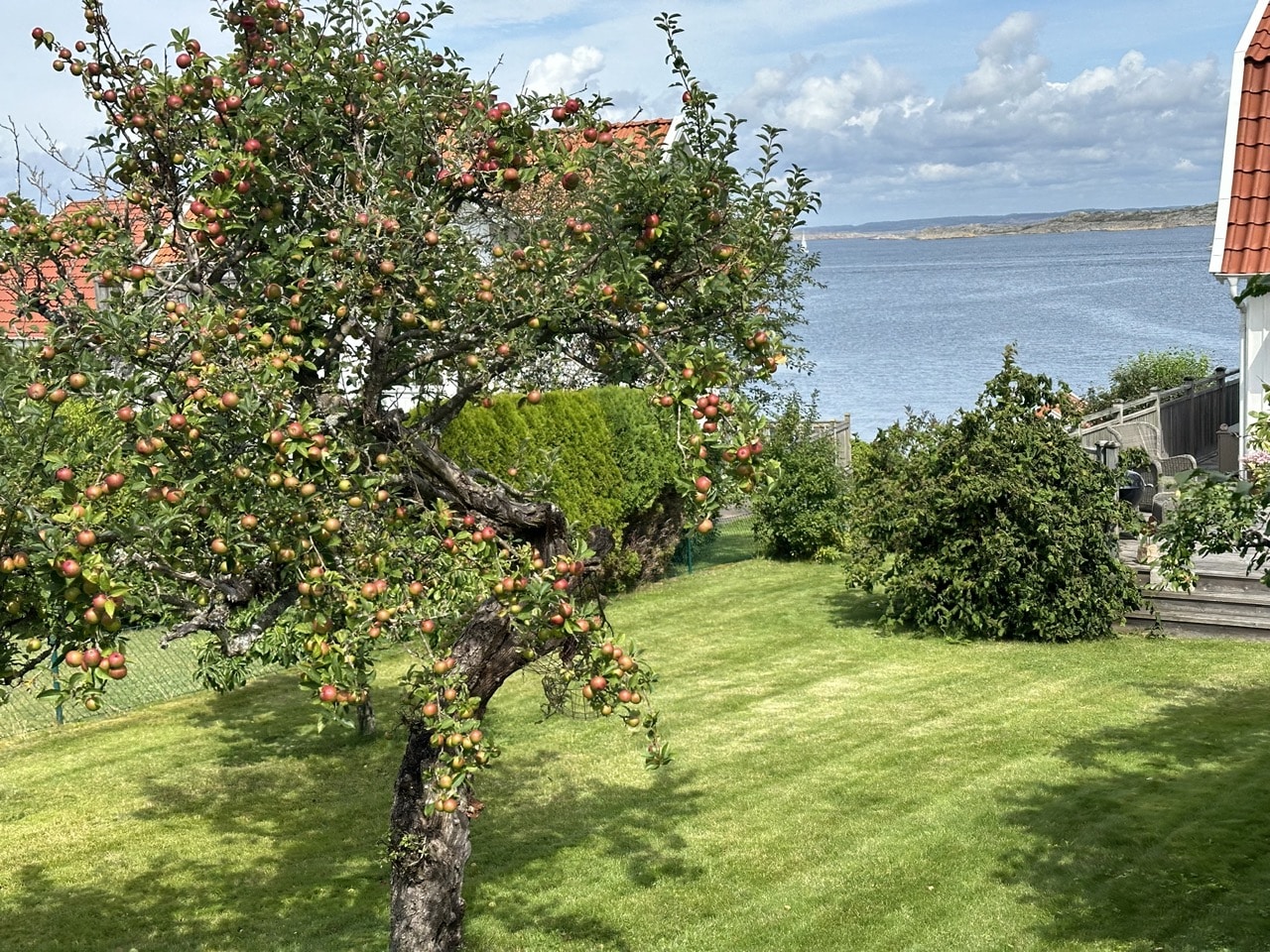 Hälsö Norra skärgården Göteborg Sverige