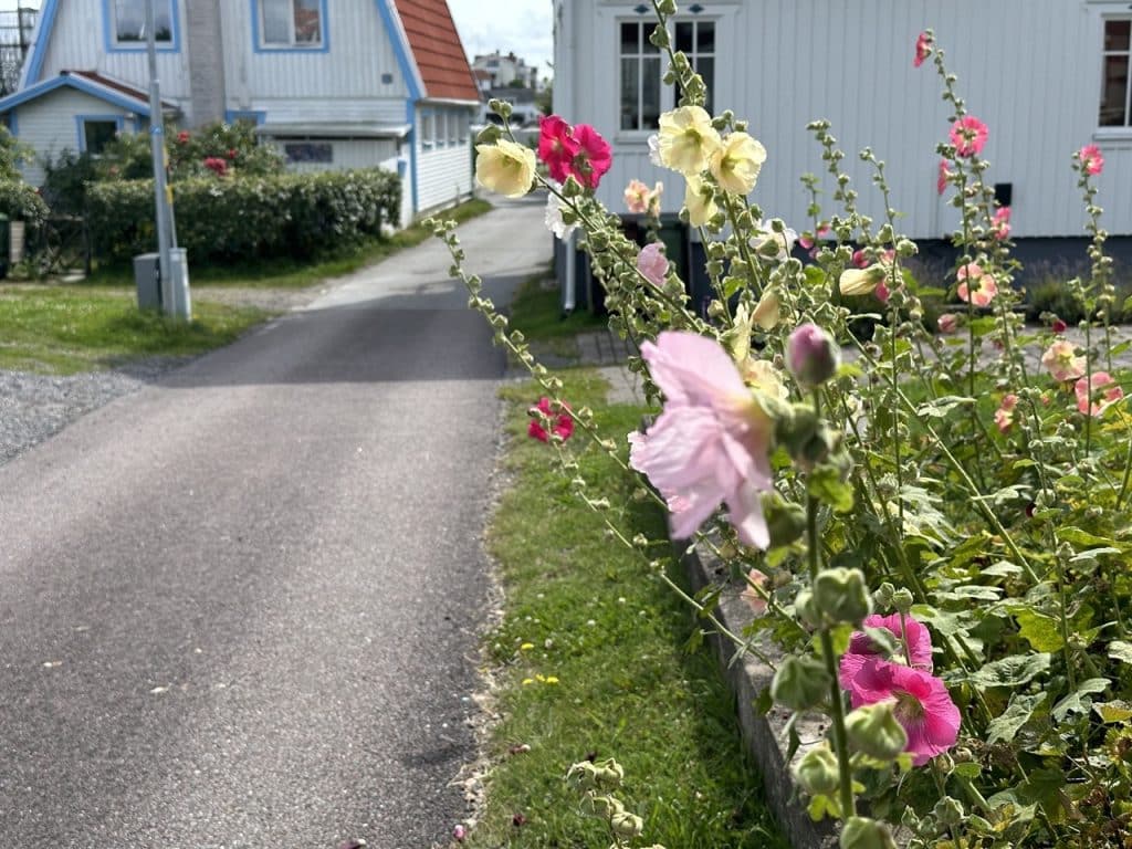 Hälsö Norra skärgården Göteborg Sverige