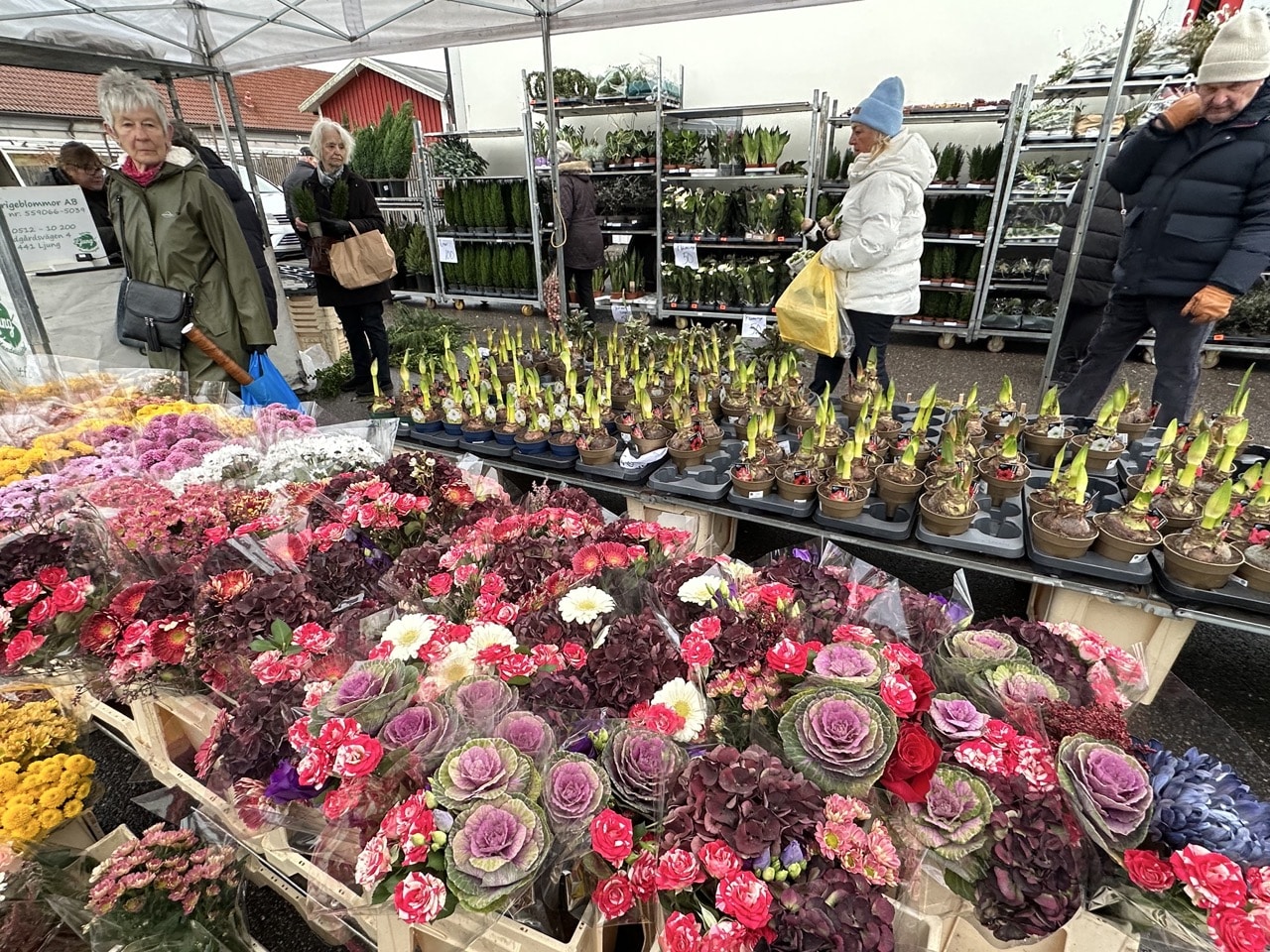 Nossebro Västergötland Sverige