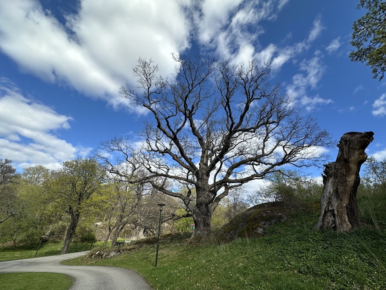 Djurgården Stockholm Sverige