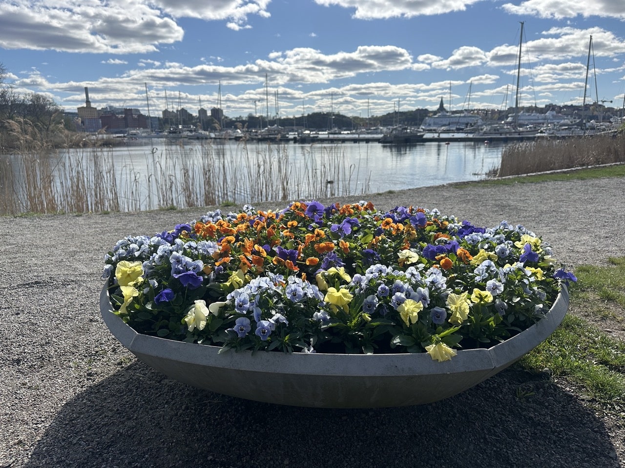 Djurgården Stockholm Sverige