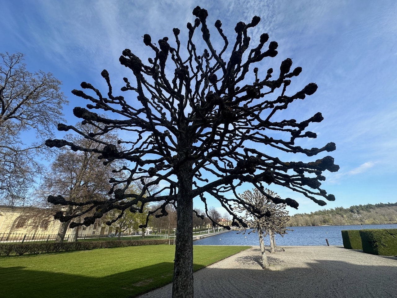 Drottningholm Världsarv Stockholm Sverige