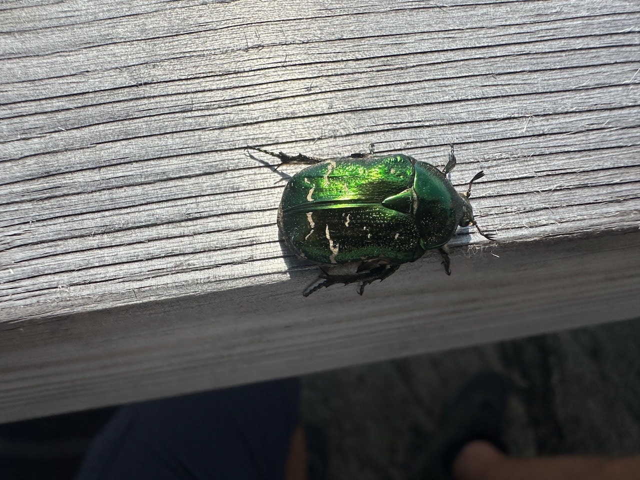 Nämdöskärgården Nationalpark Stockholm Sverige