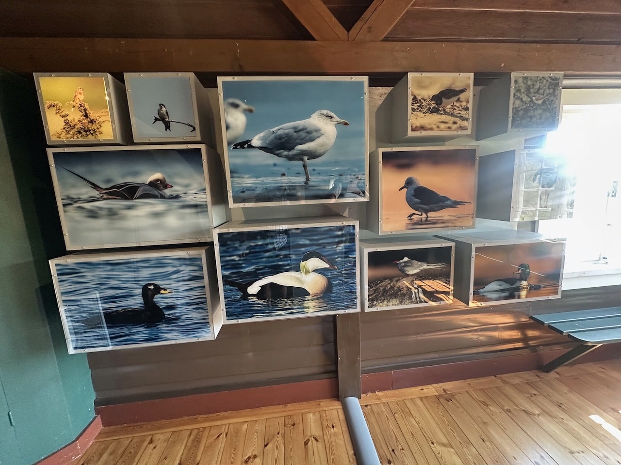 Nämdöskärgården Nationalpark Stockholm Sverige