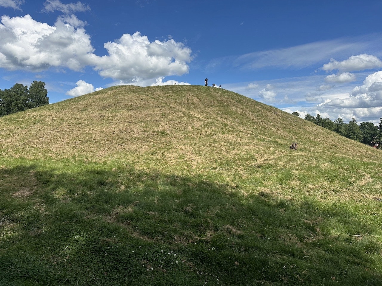 Anundshög Västerås Västmanland Sverige