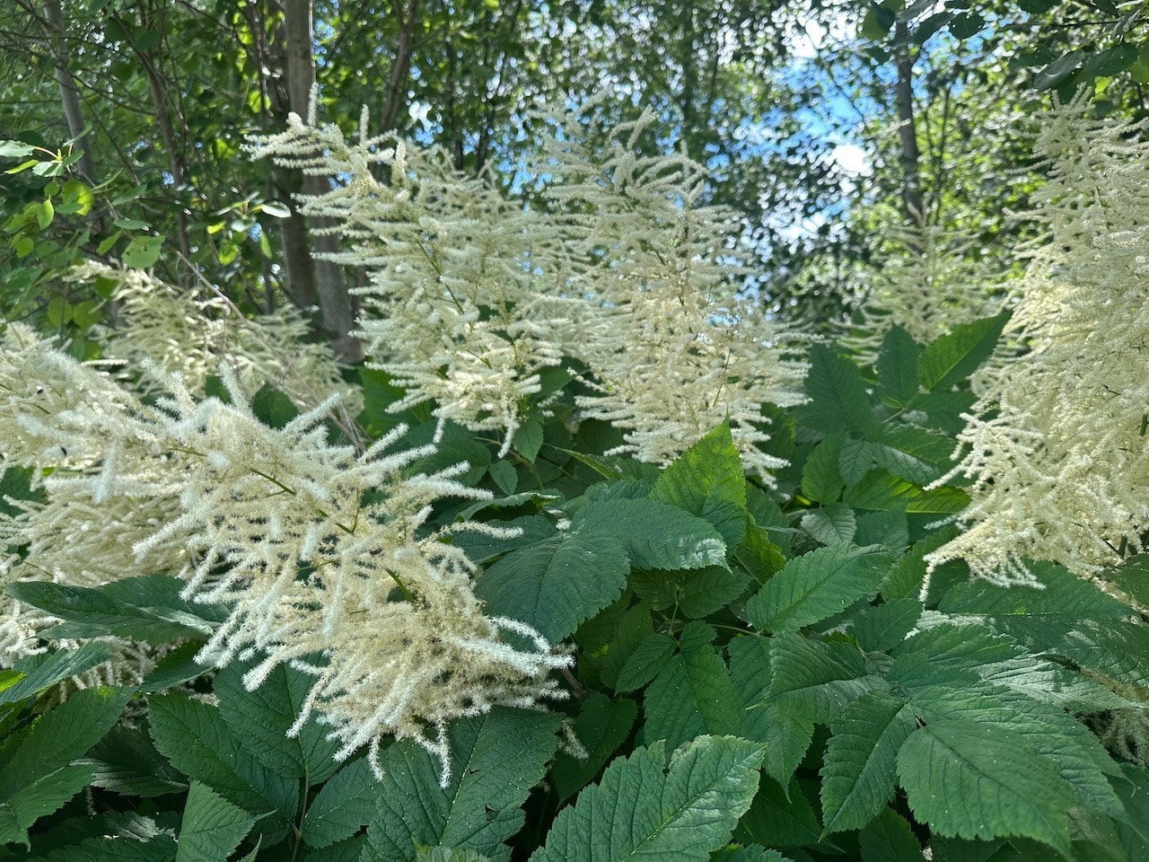 Anundshög Västerås Västmanland Sverige