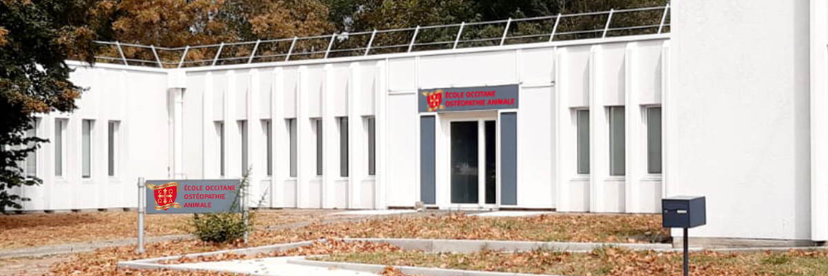 Le centre de formation etablissement fond R1 01 B - Le centre de formation - -