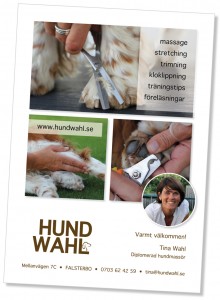 Flyer_HundWahl