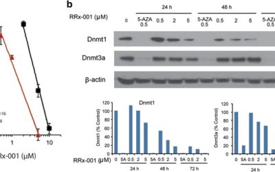 The immunomodulatory anticancer agent, RRx-001, induces an interferon response through epigenetic induction of viral mimicry.