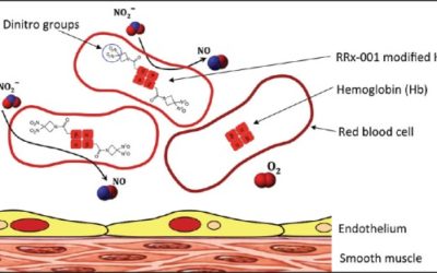 Impact of hemoglobin nitrite to nitric oxide reductase on blood transfusion for resuscitation from hemorrhagic shock