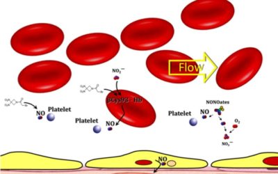 Platelet inhibitory effects of the Phase 3 anticancer and normal tissue cytoprotective agent, RRx-001