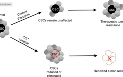 Brief report: RRx-001 is a c-Myc inhibitor that targets cancer stem cells