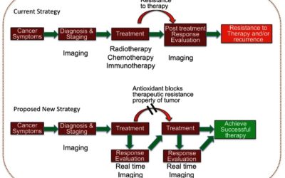Real time dynamic imaging and current targeted therapies in the war on cancer: A new paradigm