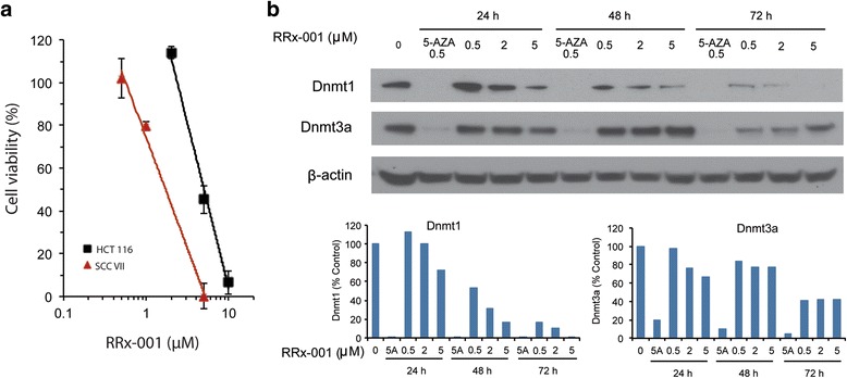 The immunomodulatory anticancer agent, RRx-001, induces an interferon response through epigenetic induction of viral mimicry.