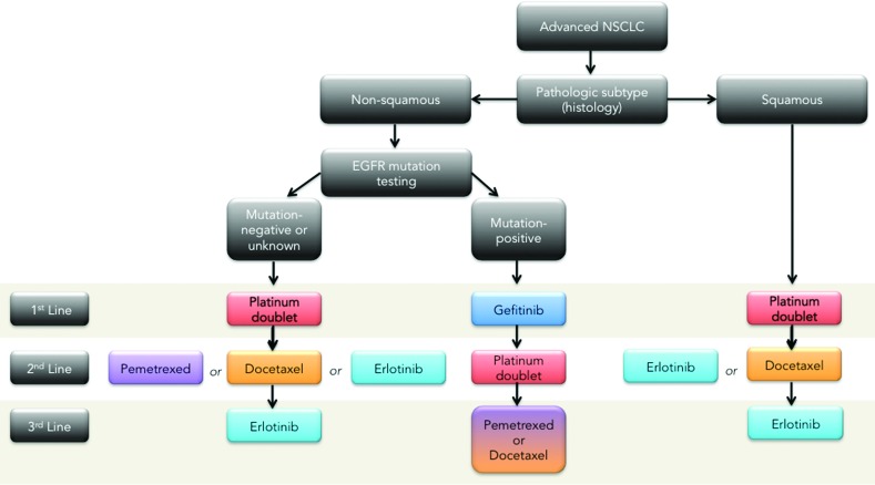 Addressing the elephant in the room, therapeutic resistance in non-small cell lung cancer, with epigenetic therapies.