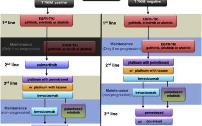 Partial response to carboplatin in an RRx-001 pretreated patient with EGFR-inhibitor-resistance and T790M-negative NSCLC.