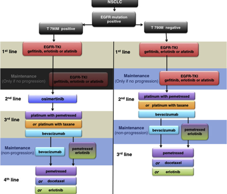 Partial response to carboplatin in an RRx-001 pretreated patient with EGFR-inhibitor-resistance and T790M-negative NSCLC.