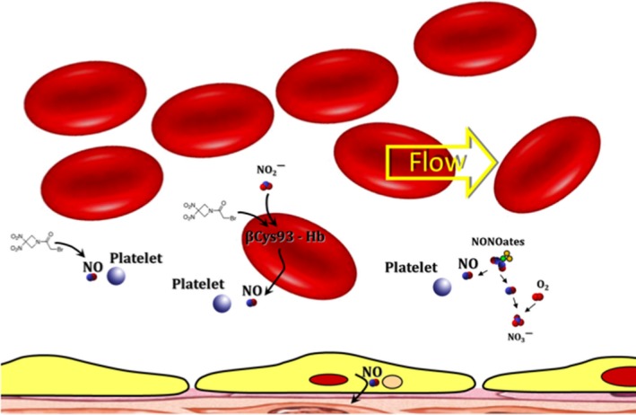Platelet inhibitory effects of the Phase 3 anticancer and normal tissue cytoprotective agent, RRx-001.