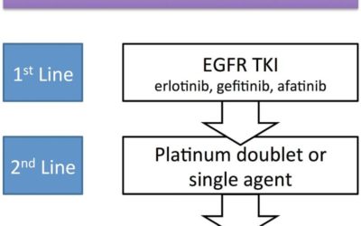 Partial Response to Platinum Doublets in Refractory EGFR-Positive Non-Small Cell Lung Cancer Patients after RRx-001: Evidence of Episensitization.