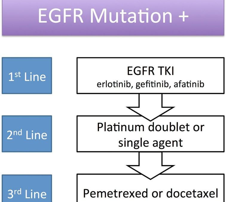 Partial Response to Platinum Doublets in Refractory EGFR-Positive Non-Small Cell Lung Cancer Patients after RRx-001: Evidence of Episensitization.
