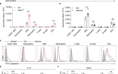 Inhibition of the Inflammasome Activity of NLRP3 Attenuates HDM-Induced Allergic Asthma.