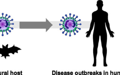 Desperate Times, Desperate Measures: The Case for RRx-001 in the Treatment of COVID-19.