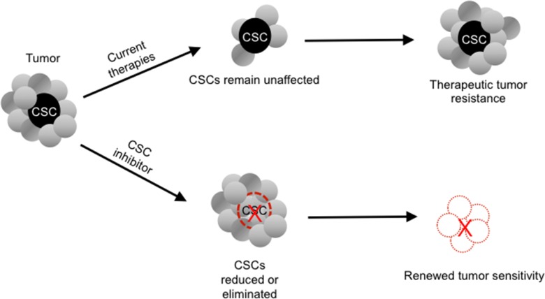 Brief report: RRx-001 is a c-Myc inhibitor that targets cancer stem cells.