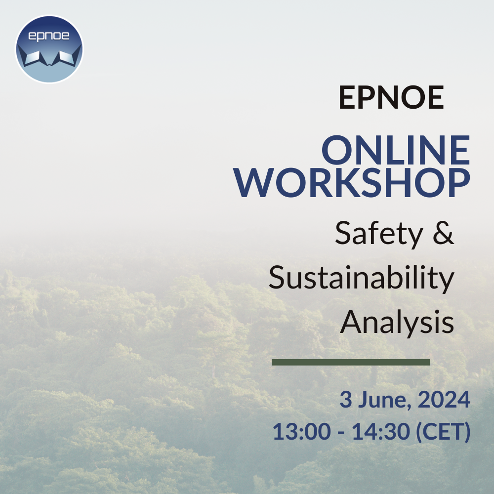 EPNOE safety and sustainability workshop EPNOE safety and sustainability workshop