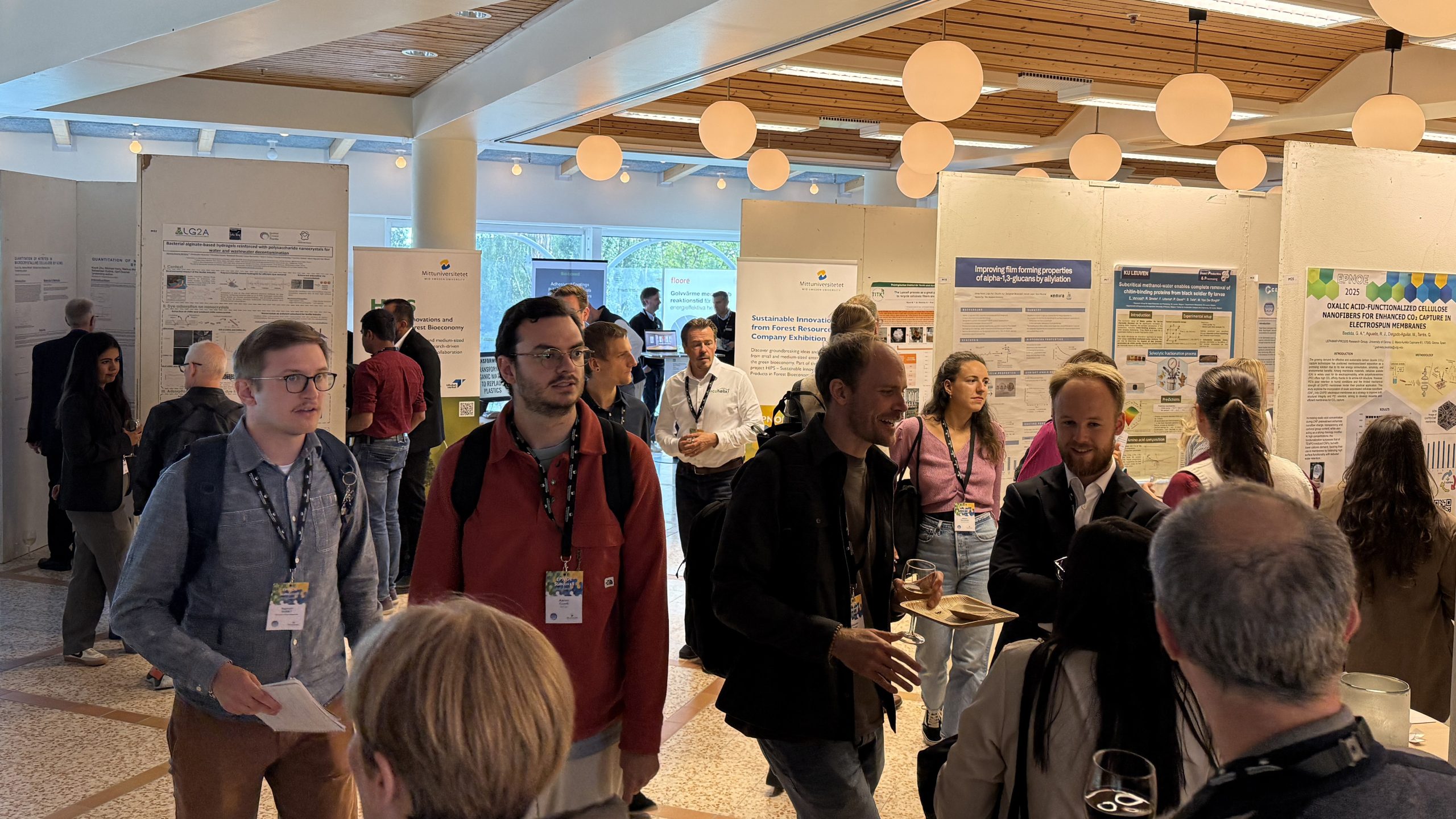 Poster session EPNOE