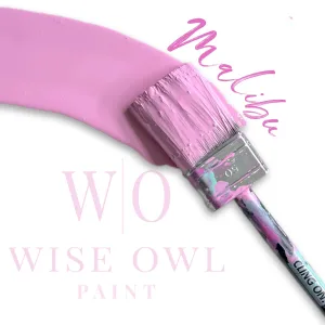 Wise Owl OHE Malibu brush