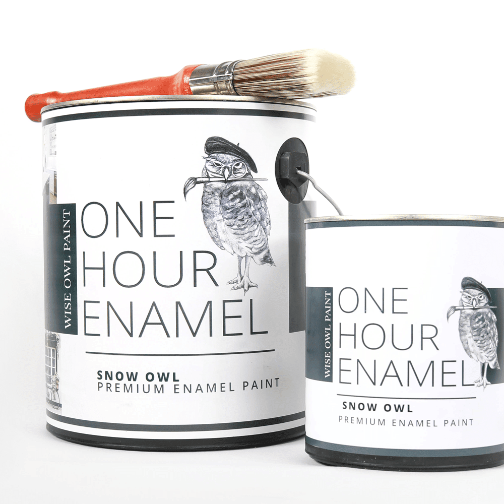 One-Hour-Enamel-maling Snow Owl