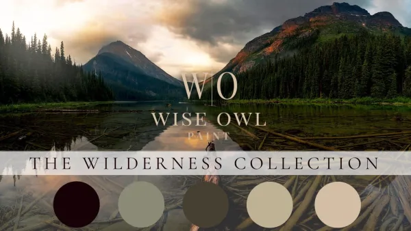 wise owl OHE wilderness collection 2