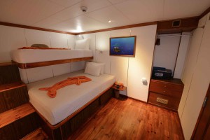 Carpe Diem Standard cabin