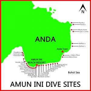 Amun ini Resort dive sites