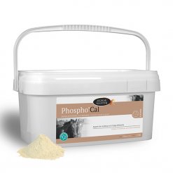 Phosphocal 2 kg