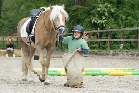 Ponyspelletjes