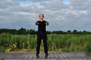 Brosser genou et pousser - Forme des 10 Yang