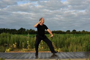 Brosser genou et pousser - Forme des 10 Yang