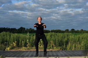 Brosser genou et pousser - Forme des 10 Yang