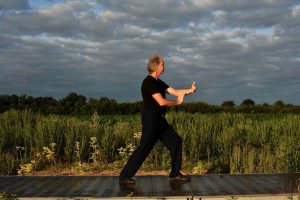 Saisir la queue de l'oiseau - Forme des 10 Yang