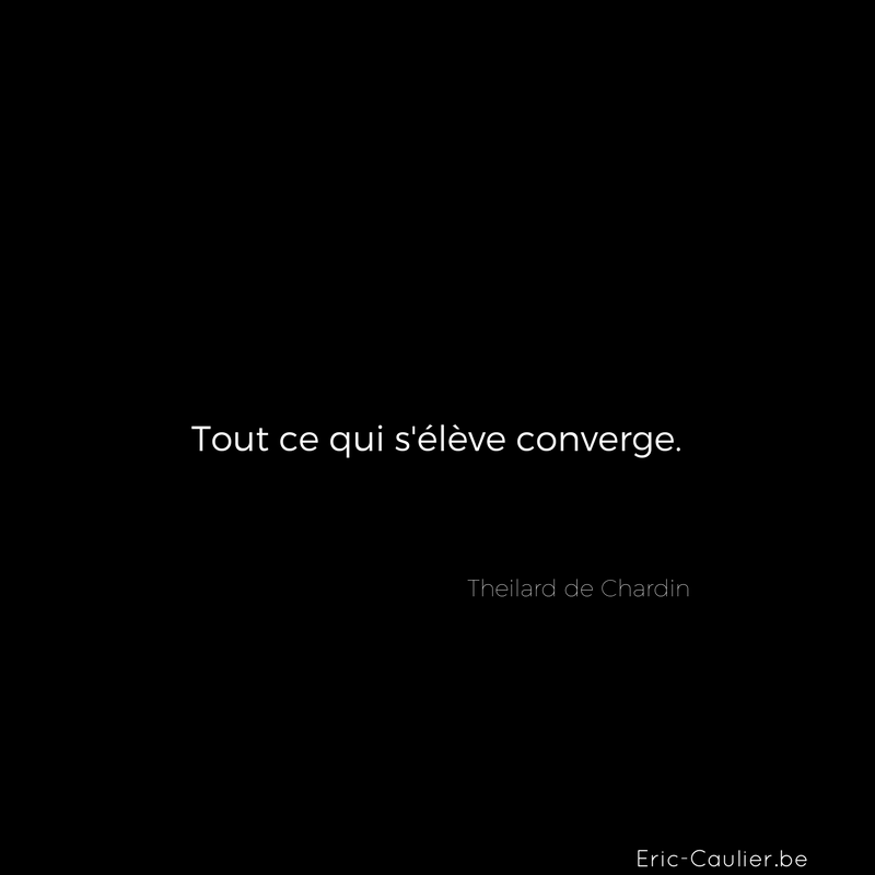 Citation de Theilard de Chardin