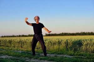 Passages en tai chi chuan