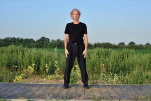 le coq d'or se tient sur une patte Wu