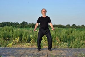 coq d'or se tient sur une patte Wu