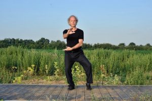 coq d'or se tient sur une patte Wu